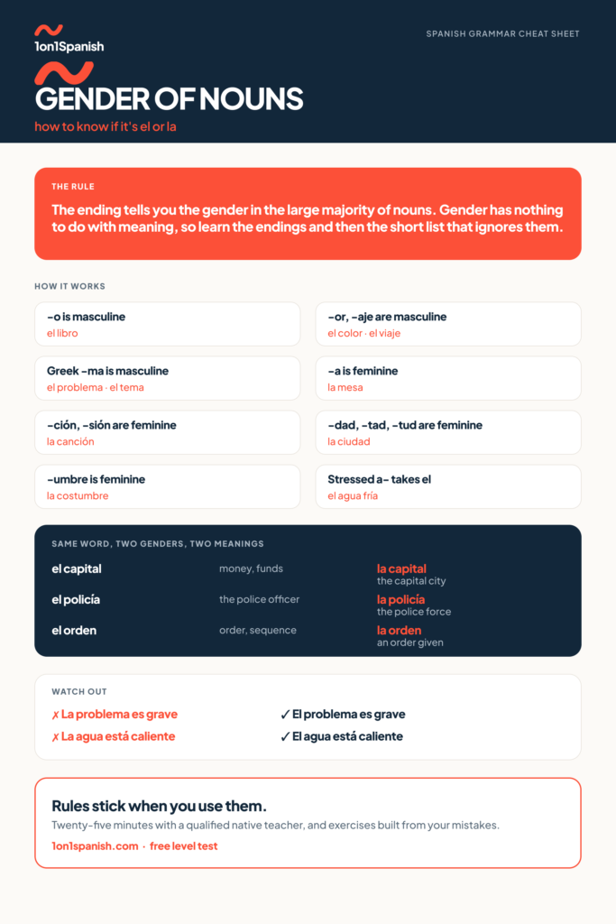 Spanish noun gender chart with the endings that predict masculine and feminine, and the words that change meaning with the article