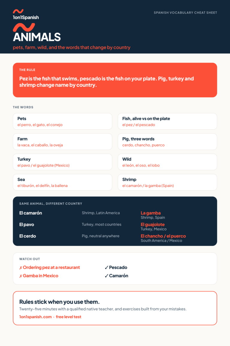 Animals in Spanish: names, sounds and regional words reference chart